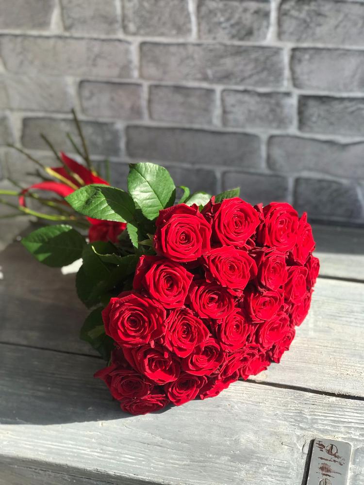 Букет Красные розы Фридом в Голубое