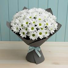 Букет цветов из:  Хризантемы #REPLACE_PRED# Голубое