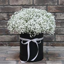 Цветочная композиция из Гипсофила в шляпной коробке #REPLACE_PRED# Голубое