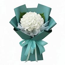 Букет цветов из:  Гортензия в Голубое